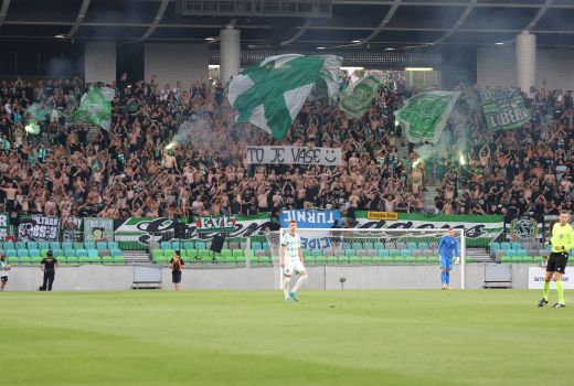 dragons