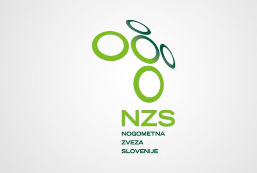 nzs logo