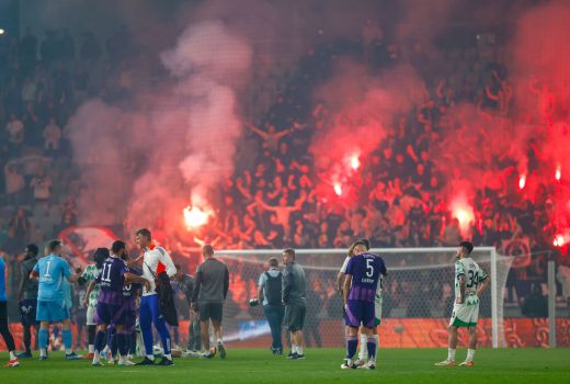 viole maribor