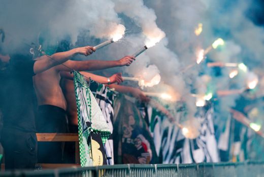 Green Dragons