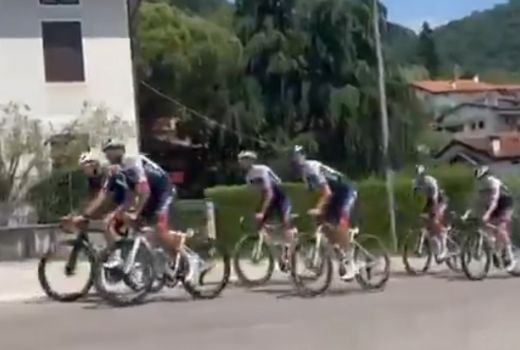 bora trening