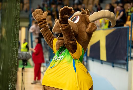 celje pivovarna laško