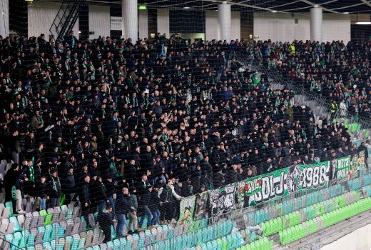 green dragons