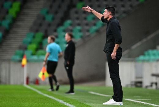 albert riera celje bravo mm