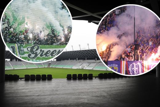 stozice dragons viole