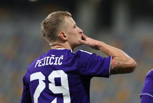 david pejicic