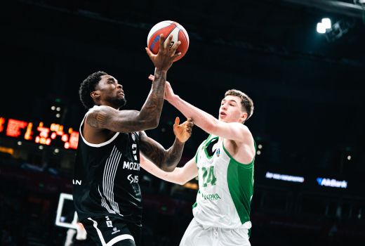 partizan krka