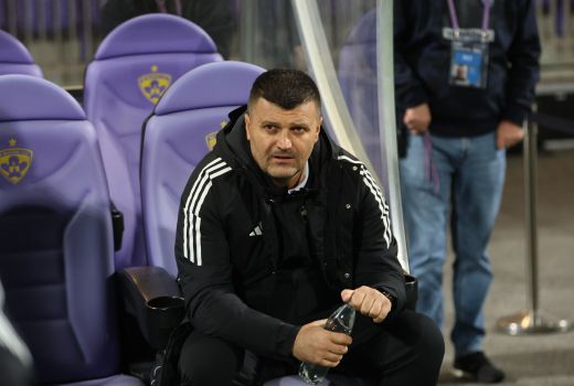 fedja dudic