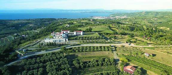 Poglejte to razkošje nad Izolo: največja posest na slovenski Obali še vedno išče kupca za  3,9 milijona evrov (FOTO in VIDEO)