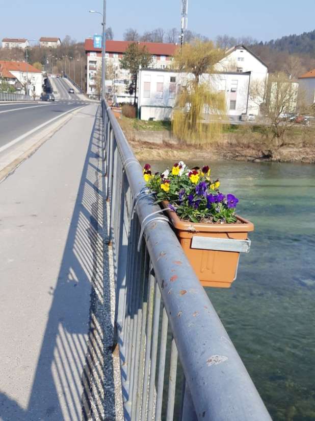 Litijski most in nadvoz z novimi cvetlicami