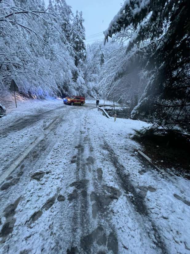 Zaradi snega podrta drevesa, zastoji in zdrsi vozil