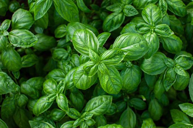 AdobeStock_370344312