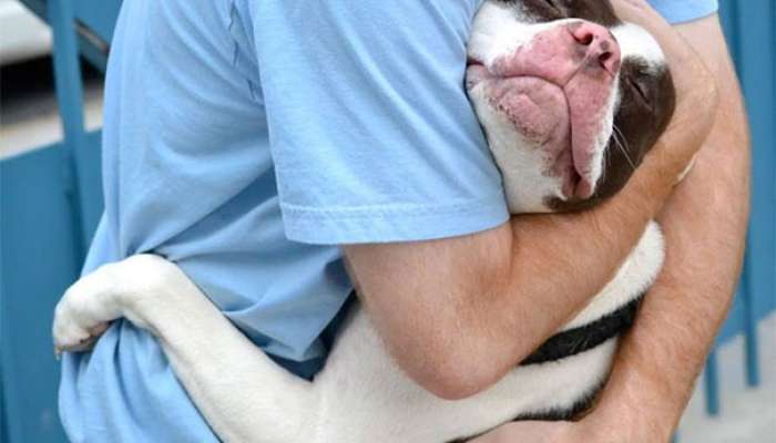 cute-dogs-hugging-humans-102