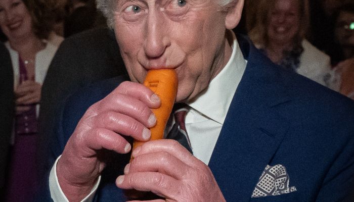 Kralj Karel - Kralj Karel se je preizkusil v igranju na flavto iz korenja