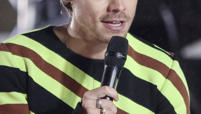Harry Styles - Harry Styles se je lotil nove linije seksualnih pripomočkov