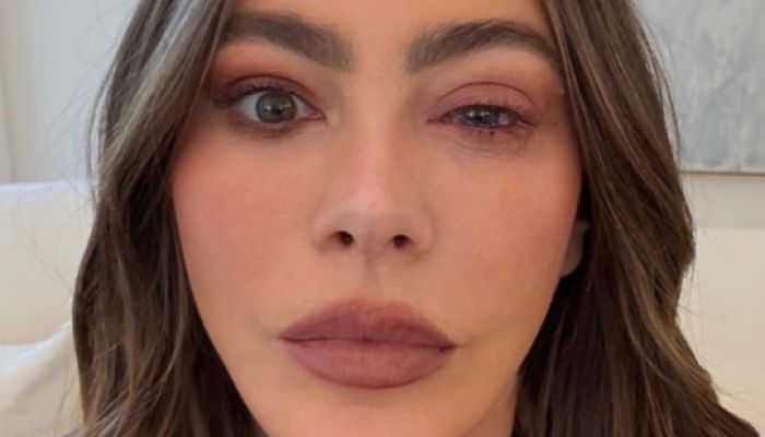 Sofia Vergara - Sofia Vergara je zaradi alergijske reakcije namesto na rdečo preprogo emmyjev, moral
