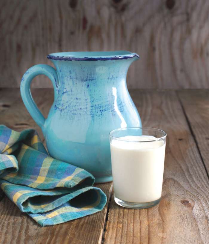 Kefir ali ajran?