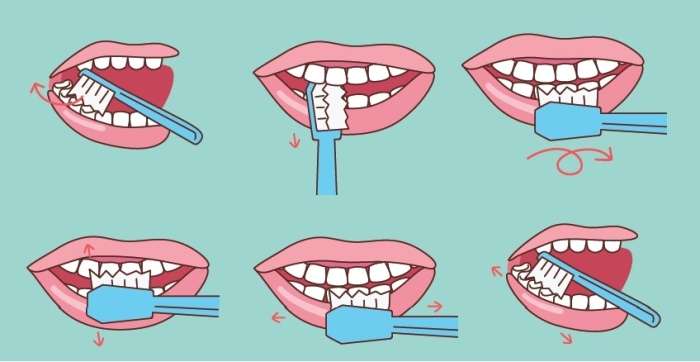 Pravilno umivanje mlečnih zob
