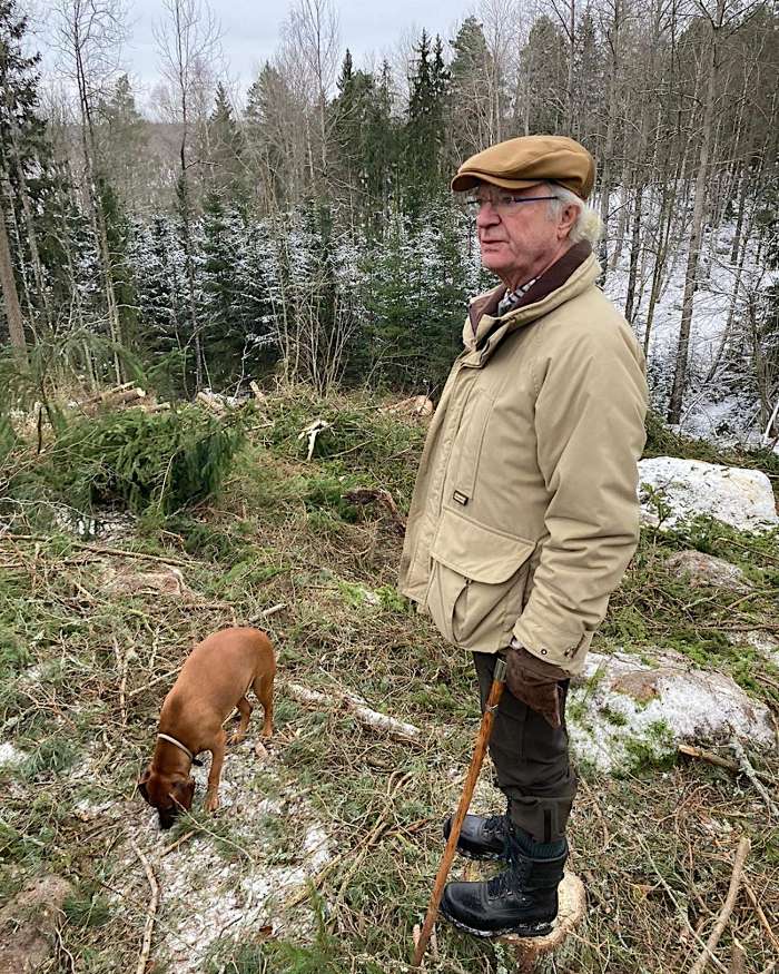 Švedski kralj opozoril na dolžnosti človeštva do okolja