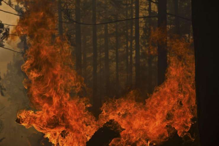 Požar v Španiji uničil kar 8000 hektarov gozda
