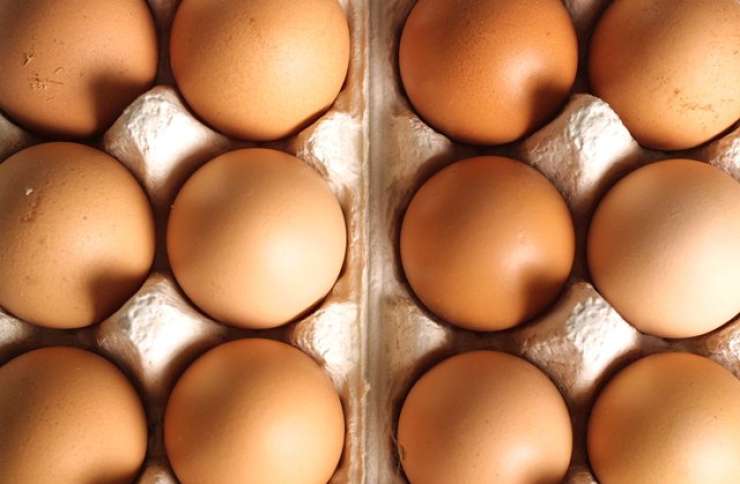 V Sloveniji odvzeti vzorci jajc in jajčnih proizvodov niso vsebovali fipronila