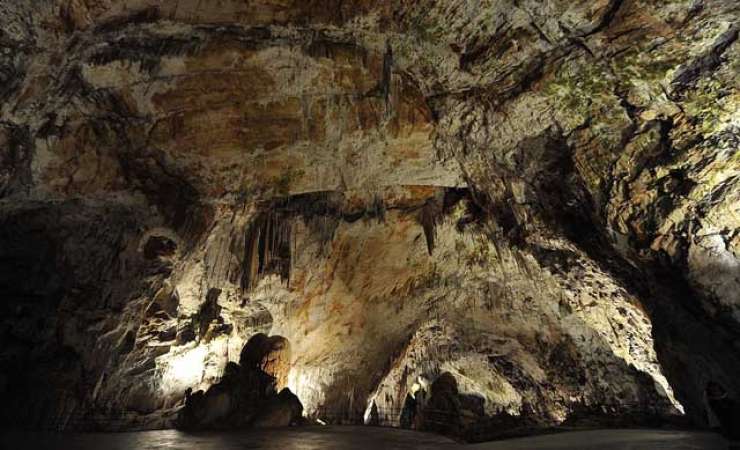 V Postojnski jami odkrili 3,5 kilometra dolg podvodni rov