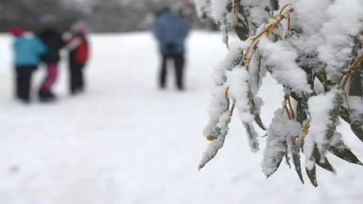 Evropa se kuha, v Avstraliji otroci celo prvič vidijo sneg