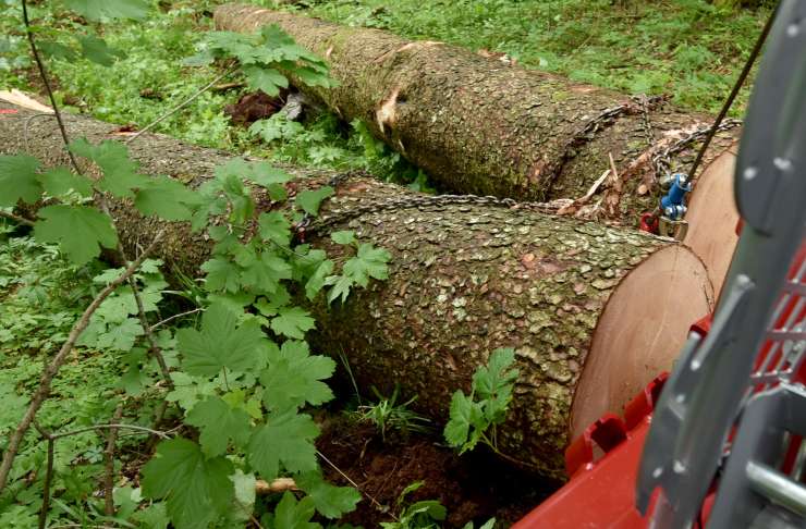 Pri Dragatušu drevo zmečkalo 46-letnega delavca