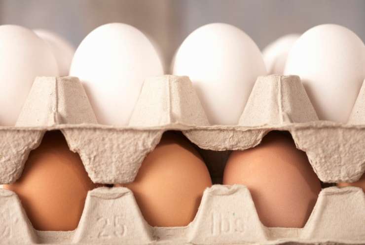 Zaradi jajc z insekticidi v težavah nizozemska perutninska industrija
