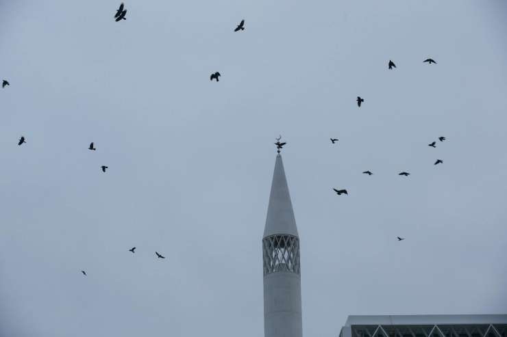FOTO: Kako so ljubljansko džamijo napadle vrane