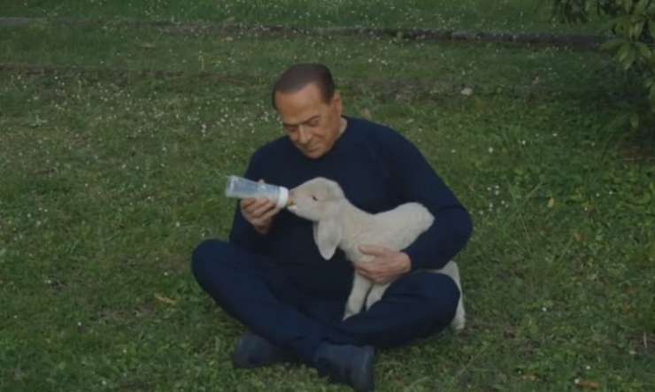 Berlusconi se vrača v politiko - kot zaščitnik živali