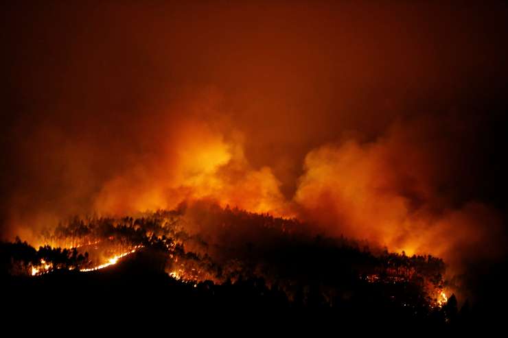 Ljudje so goreli v avtomobilih: na desetine mrtvih v velikem gozdnem požaru na Portugalskem