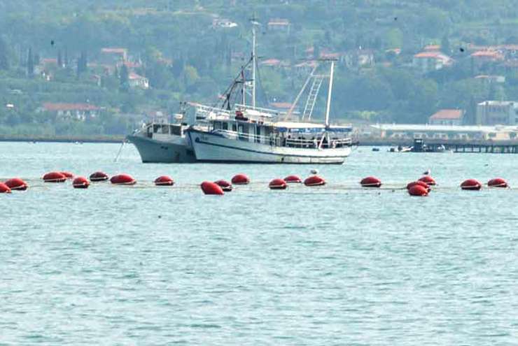 Hrvaški odvetnik: Preganjanje slovenskih ribičev je "izključno političnega značaja"