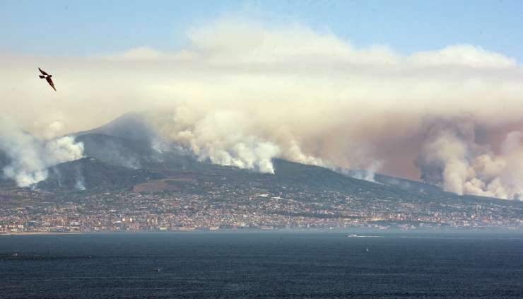 V Italiji letos rekordno število gozdnih požarov