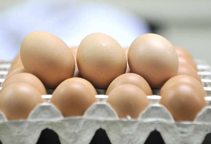 Iz trgovin umaknili vsa jajca, ki bi lahko vsebovala insekticid