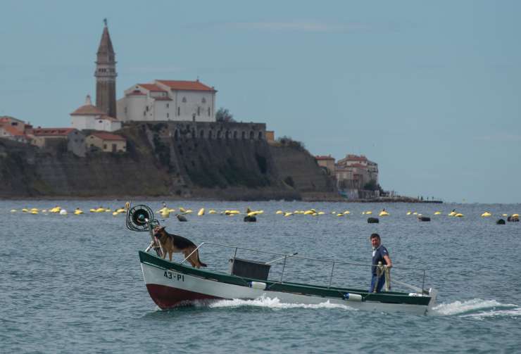 Hrvaški ribiči začeli dobivati kazni iz Slovenije