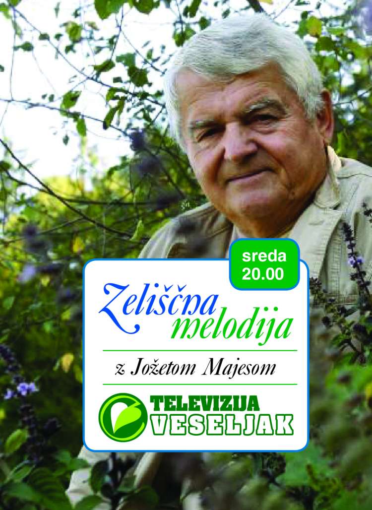 TVV_ZeliscnaMelodija_SplosnaCetrtina.jpg