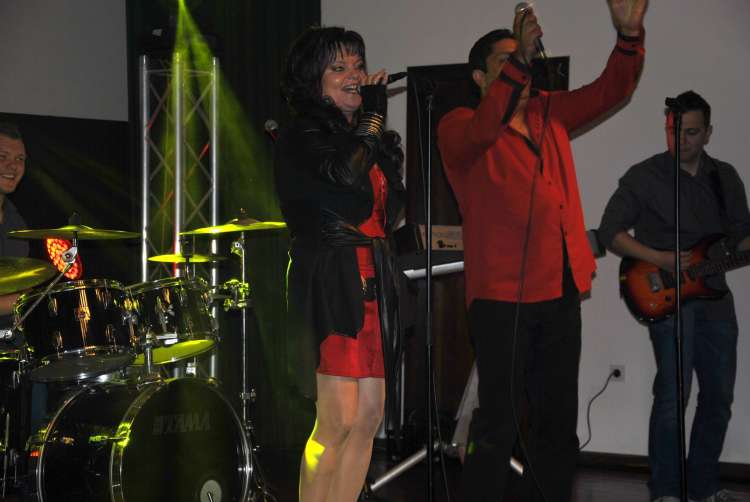 Sinji galeb