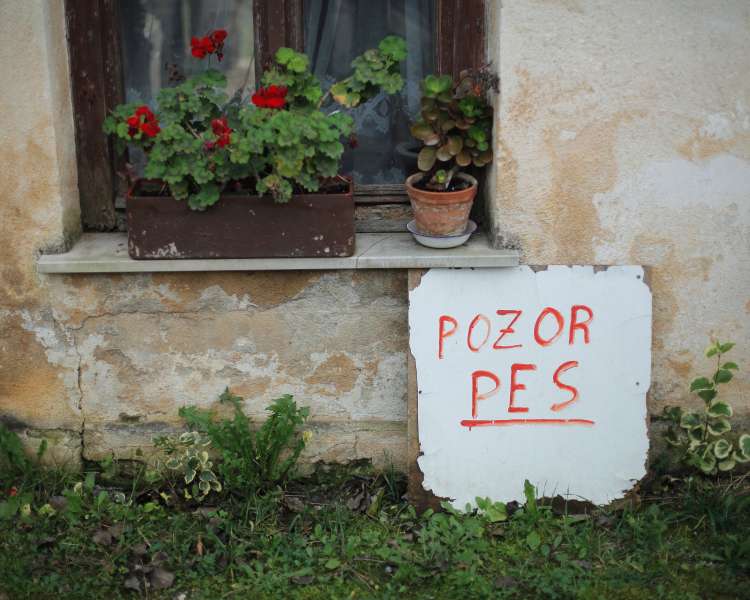 psi, nevarnost, tabla, pismonoša