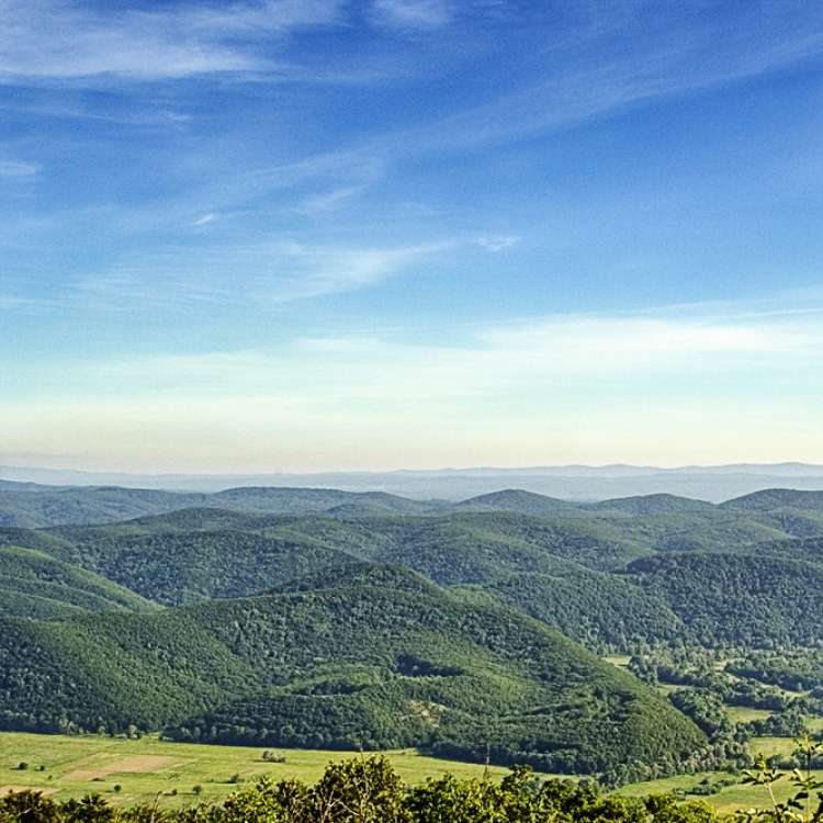 Strandzha-dinev-2