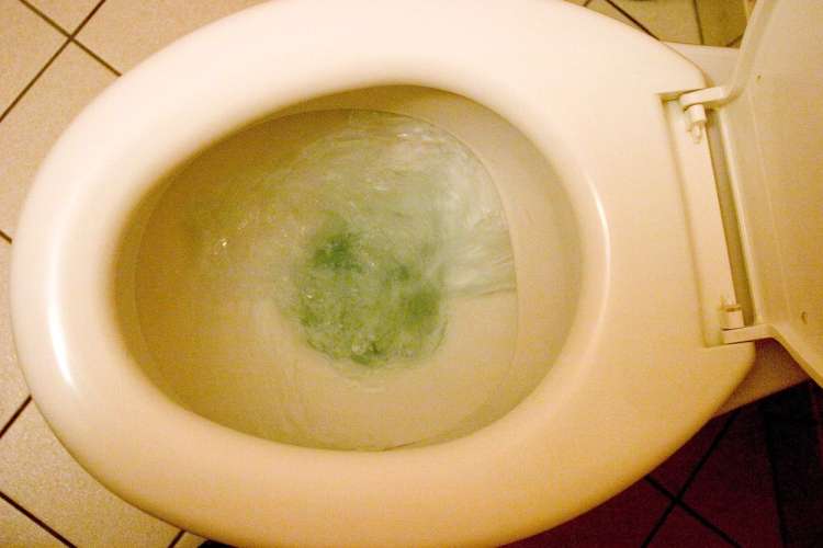 wc školjka