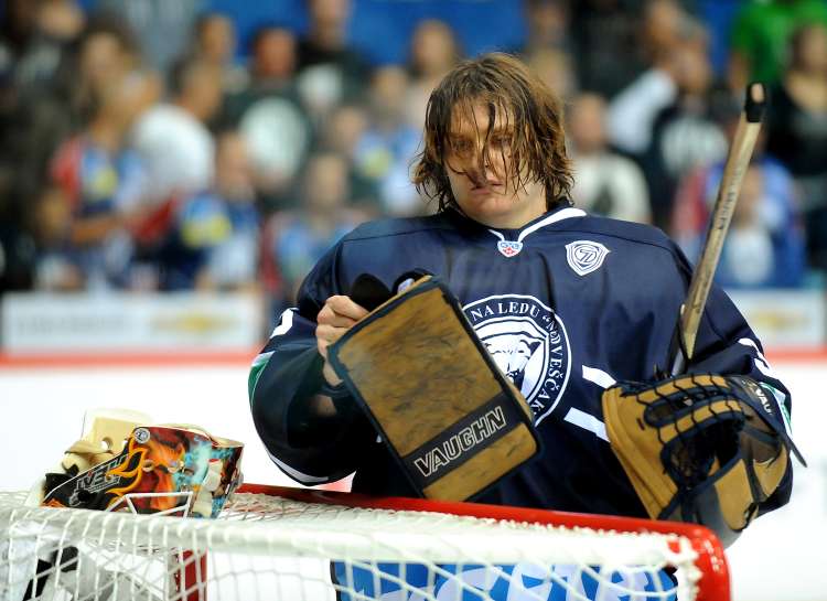 medvescak ap