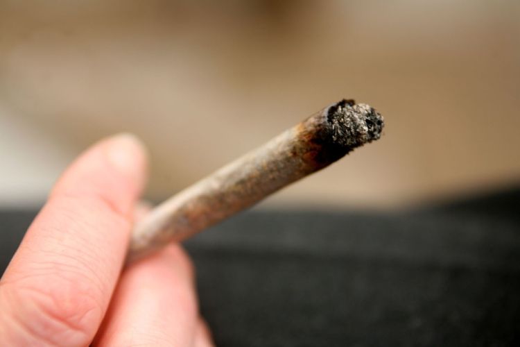 smotka, cigaret, rizla, trava, marihuana