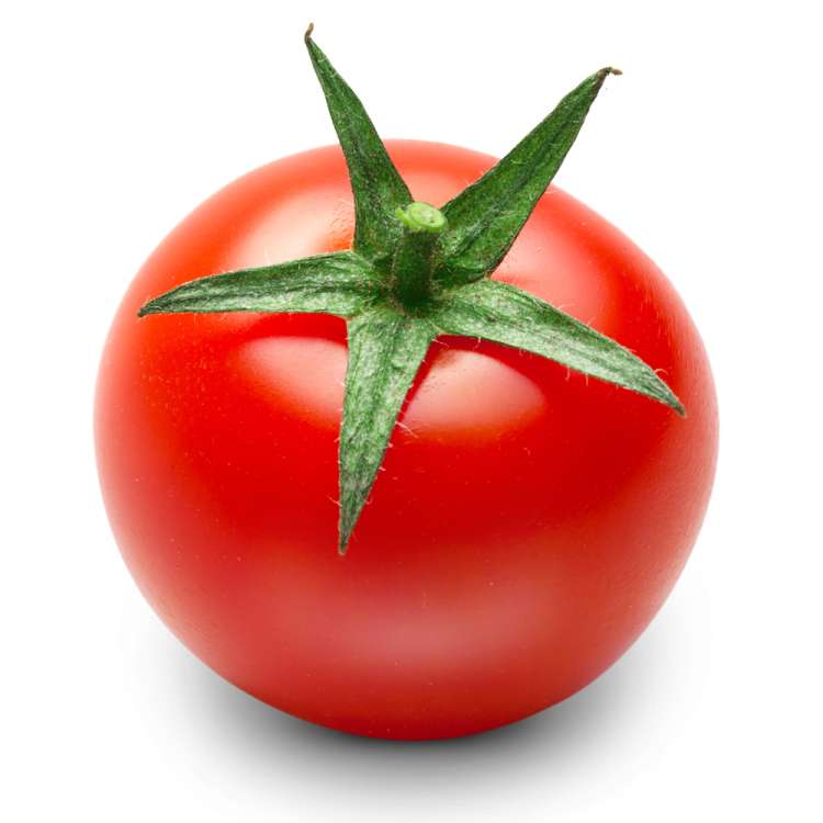 PARADAJZ