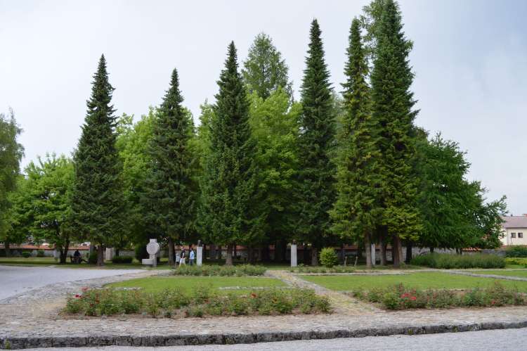 park