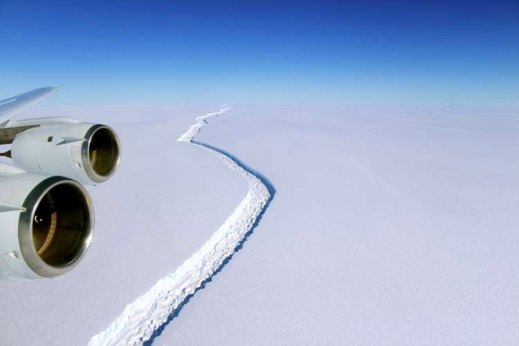 Larsen C