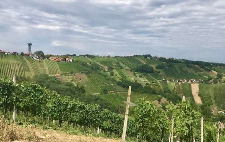 pogled iz lendavskih goric