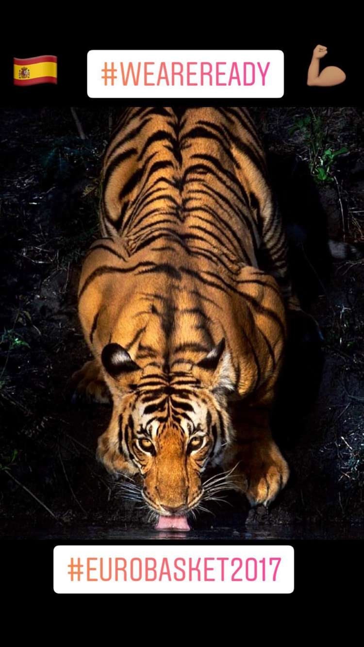 willy hernangomez tiger