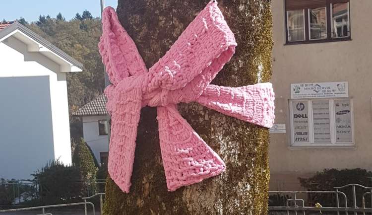 Rožnate pentlje na drevesih pred gimnazijo