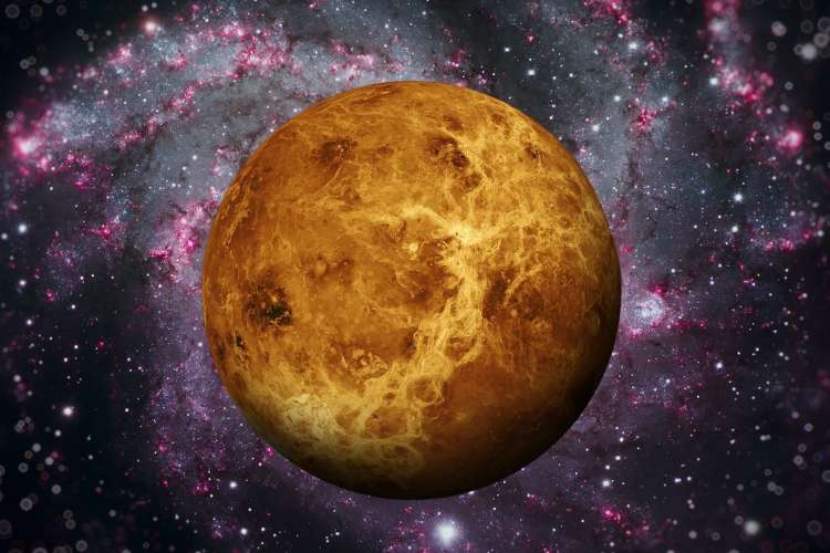 Venera